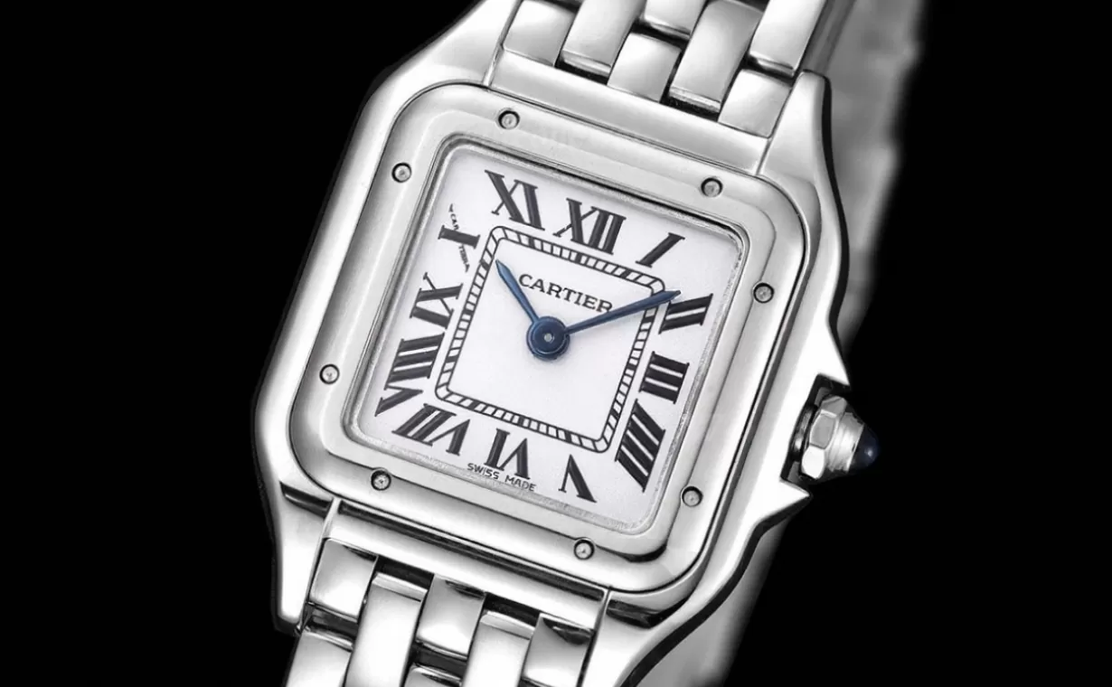 Panthere Secrete De Ladies 22mm SS / SS White 8848F Swiss Qtz