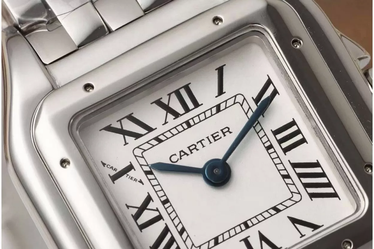 Cartier ?C Panthere Secrete De Ladies 22mm SS / SS White AF Quartz - Image 4