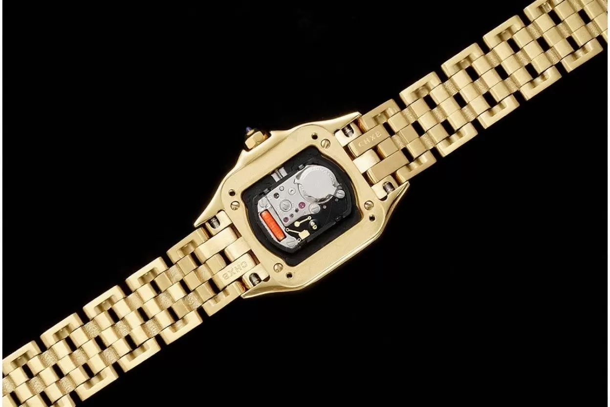 Panthere Secrete De Ladies Small 22mm YG / YG White AF Quartz - Image 8