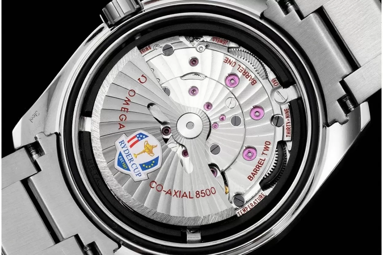 Aqua Terra 15000 Gauss Anti ?C Mg 41mm SS / SS VSF A8500 - Image 8