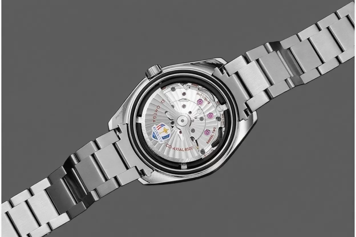 Aqua Terra 15000 Gauss Anti ?C Mg 41mm SS / SS VSF A8500 - Image 7