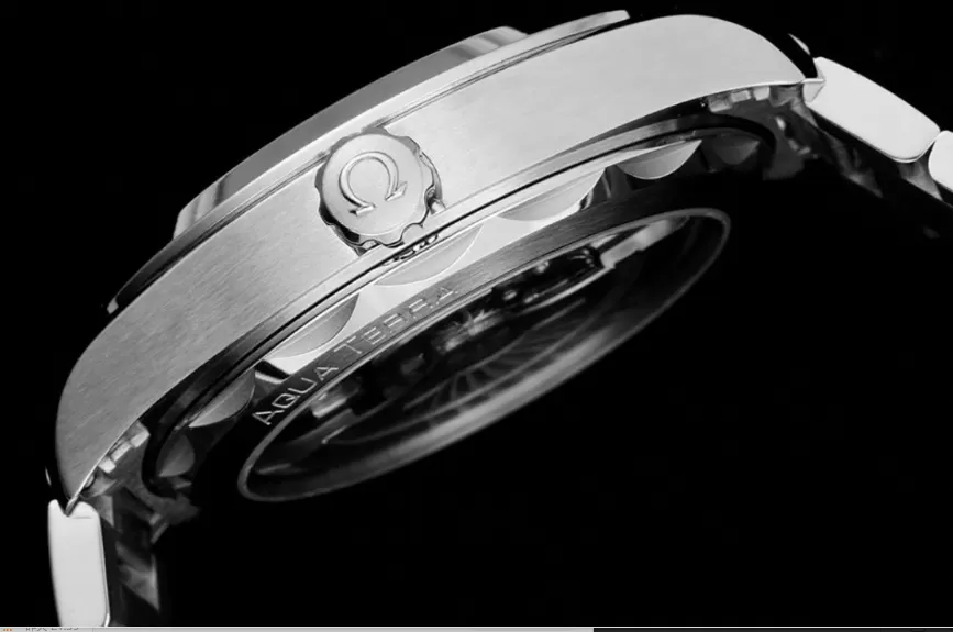 Aqua Terra 150m 41mm Master SS / SS Black VSF A8900 - Image 5