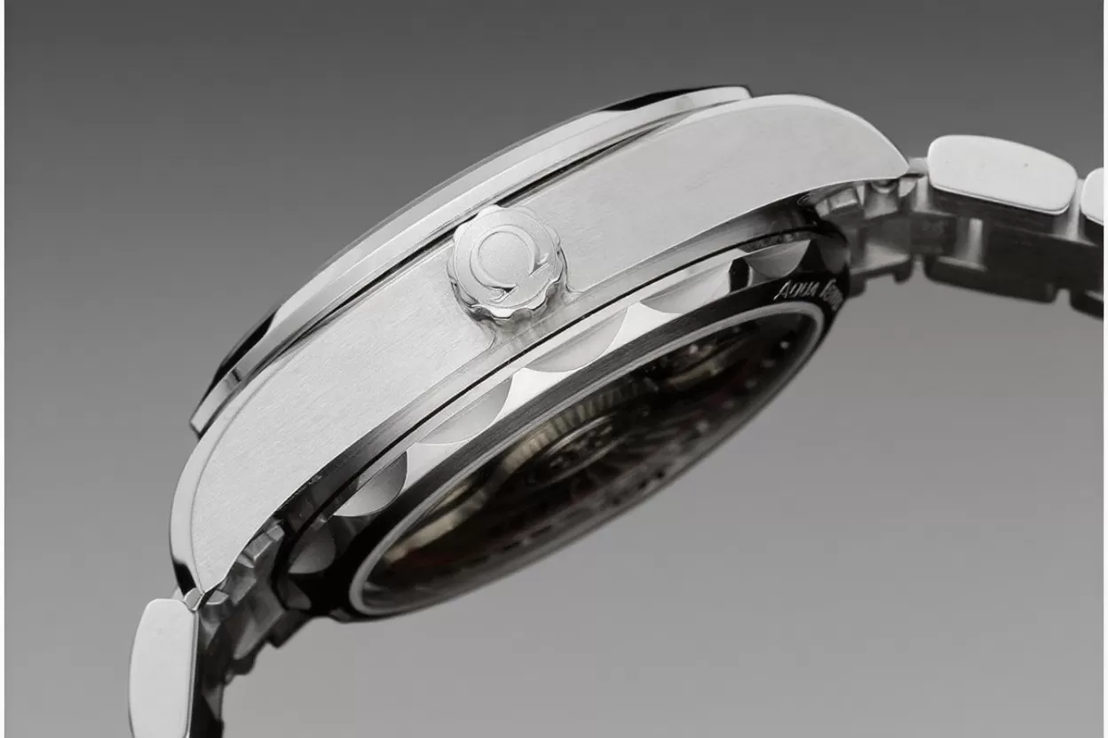 Aqua Terra 150M 34mm Ladies SS / SS Wht / Stk VSF A8800 - Image 6