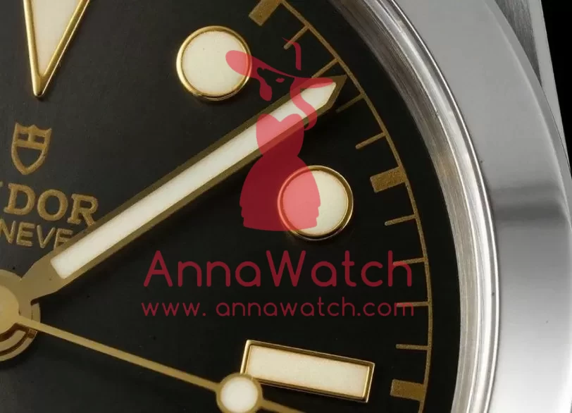 Heritage Black Bay 39mm SS / SS Anthracite / Dot KRF A2824 - Image 3