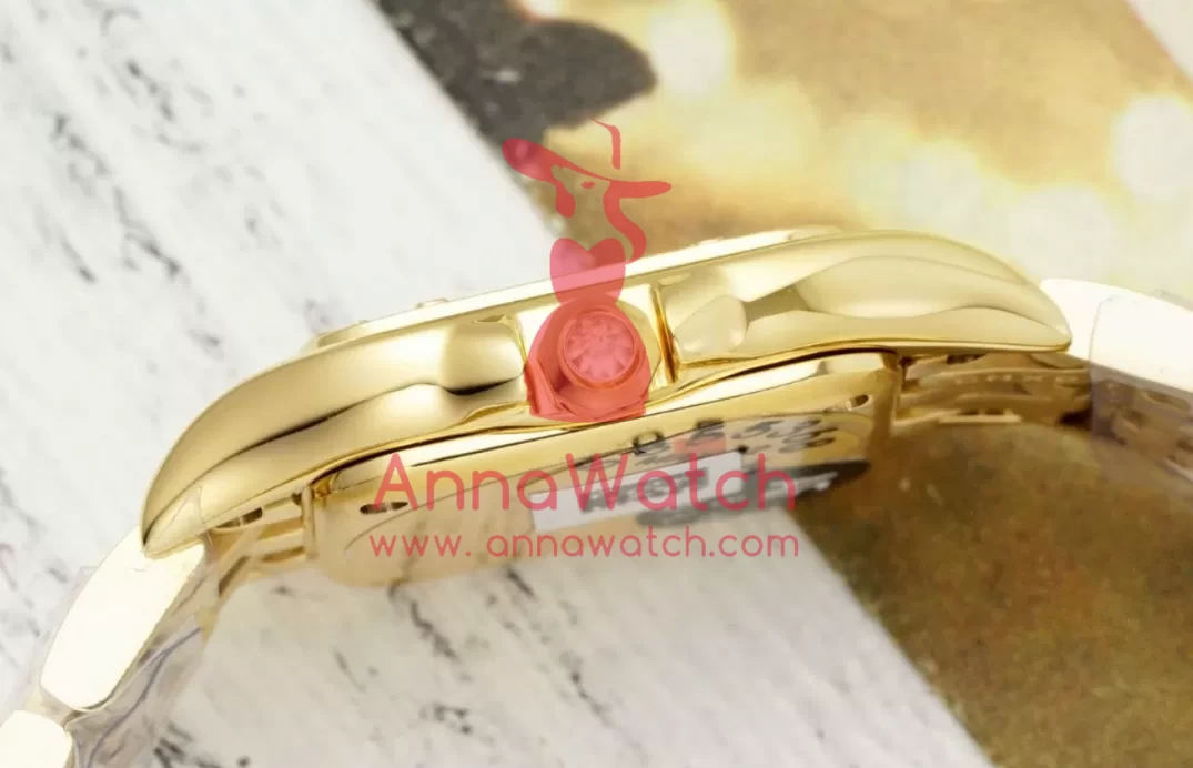 Panthere Secrete De Ladies 22mm Dia YG / YG Diamonds Dial AF Quartz - Image 7