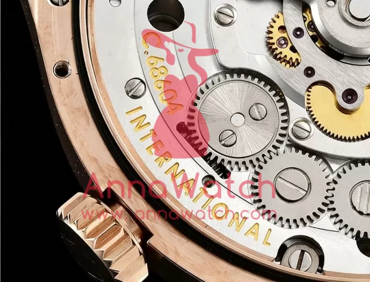 IWC ?C Portugieser Mystere Tourbillon RG / LE Blue YLF Tourbillon - Image 11
