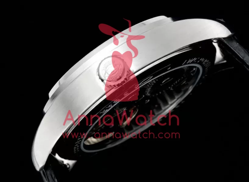 Portugieser IW545 42.4mm SS / LE White Dial RMSF Tourb - Image 5
