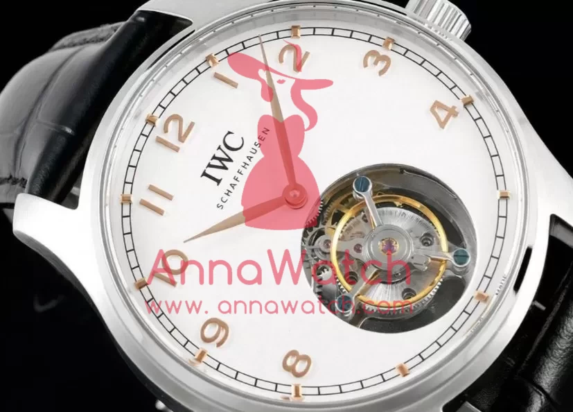 Portugieser IW545 42.4mm SS / LE White Dial RMSF Tourb - Image 4