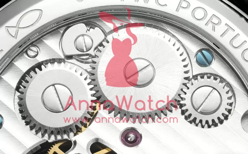 Portugieser IW545 42.4mm SS / LE White Dial RMSF Tourb - Image 9