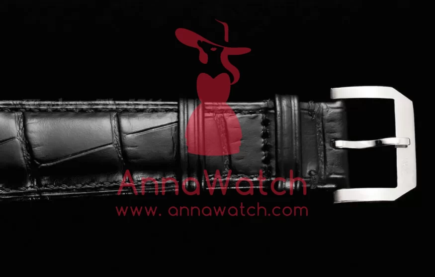 Portugieser IW545 42.4mm SS / LE White Dial RMSF Tourb - Image 11