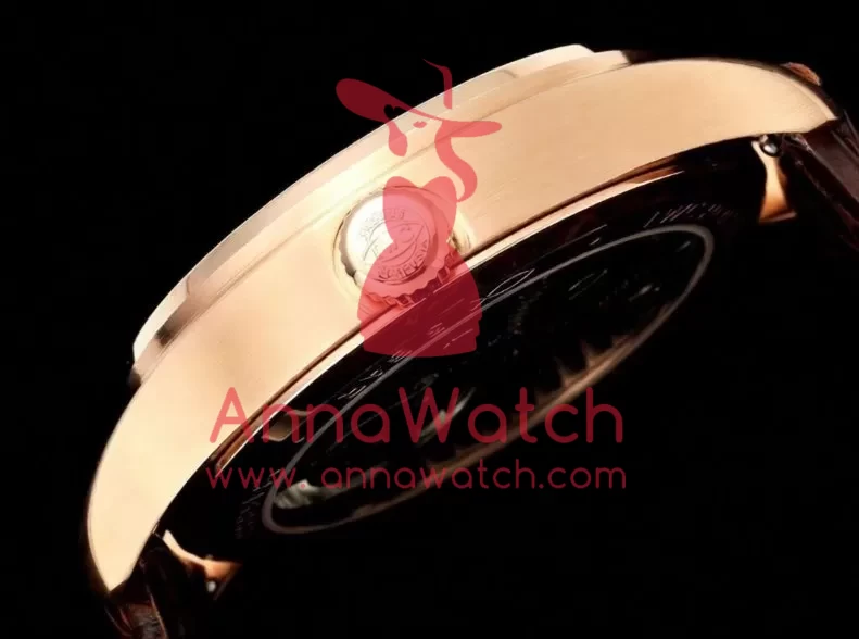 Portugieser IW545 42.4mm RG / LE White Dial RMSF Tourb - Image 7