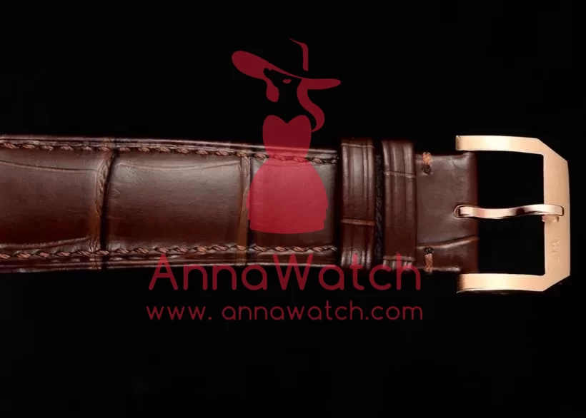 Portugieser IW545 42.4mm RG / LE White Dial RMSF Tourb - Image 11