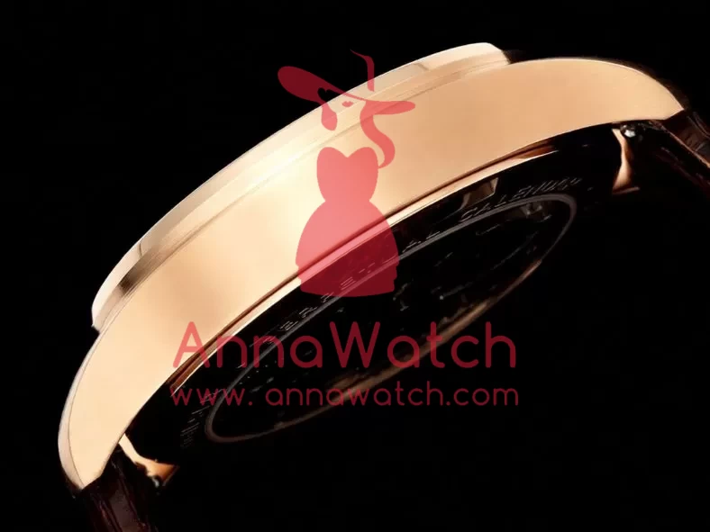Portugieser IW545 42.4mm RG / LE White Dial RMSF Tourb - Image 8