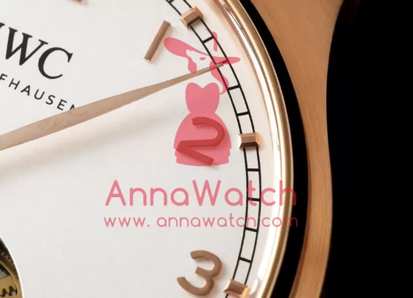 Portugieser IW545 42.4mm RG / LE White Dial RMSF Tourb - Image 6
