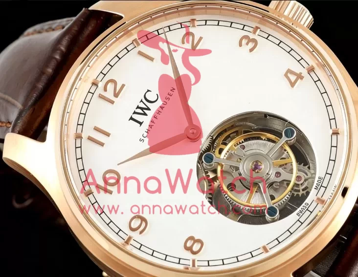 Portugieser IW545 42.4mm RG / LE White Dial RMSF Tourb - Image 5