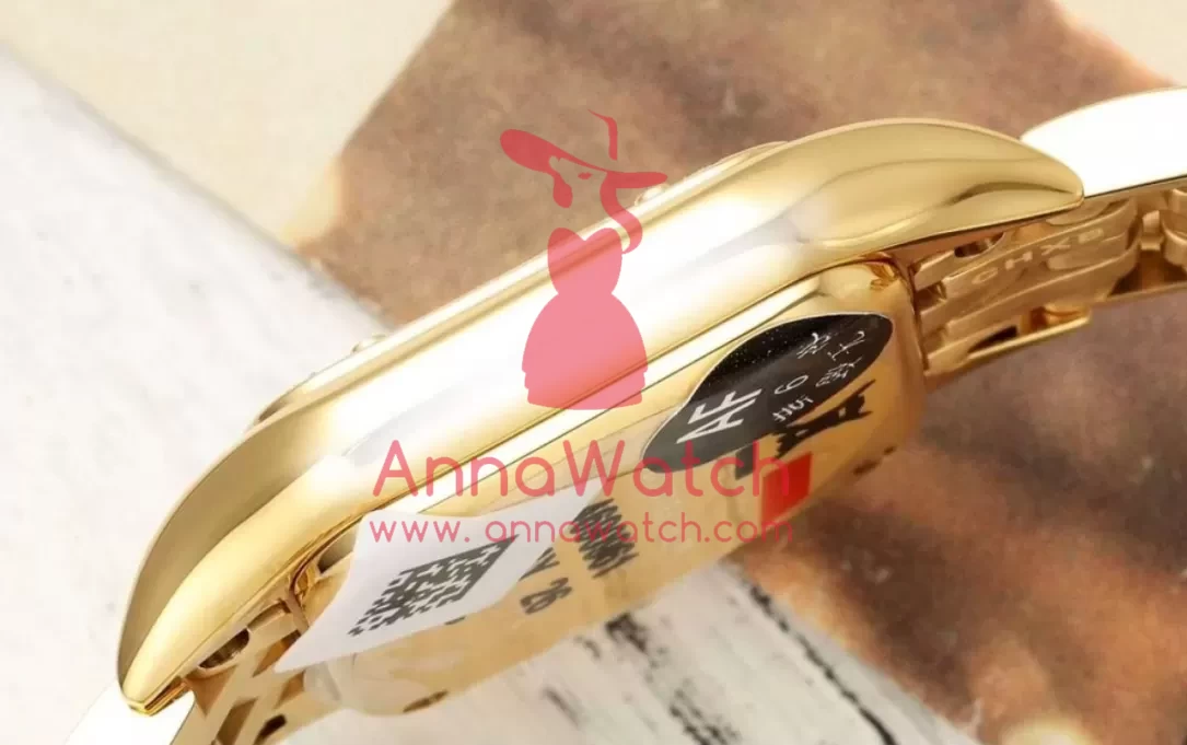 Panthere Secrete De Ladies 22mm Dia YG / YG Gold Brown Dial AF Quartz - Image 7