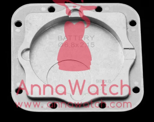 Panthere Secrete De Ladies 27mm Dia RG / SS Mop Dial AF Quartz - Image 17