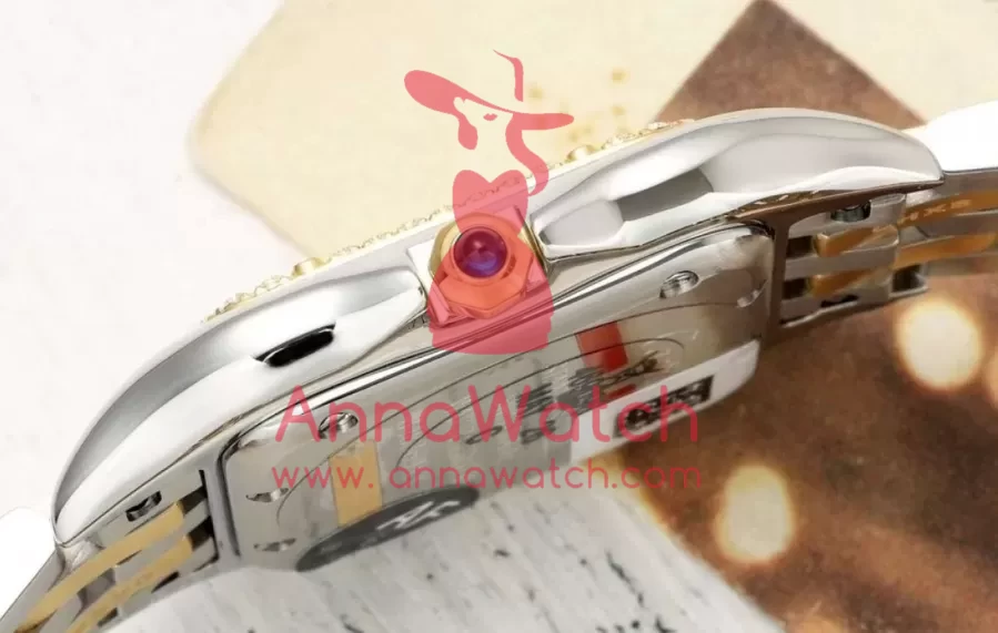 Panthere Secrete De Ladies 27mm Dia YG / SS Gold Brown Dial AF Quartz - Image 8